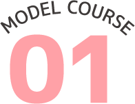 MODEL COURSE 01